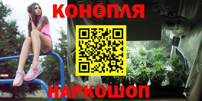 индика Беслан