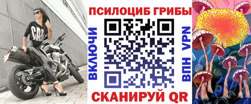 Псилоцибиновые грибы Psilocybine cubensis Бахчисарай