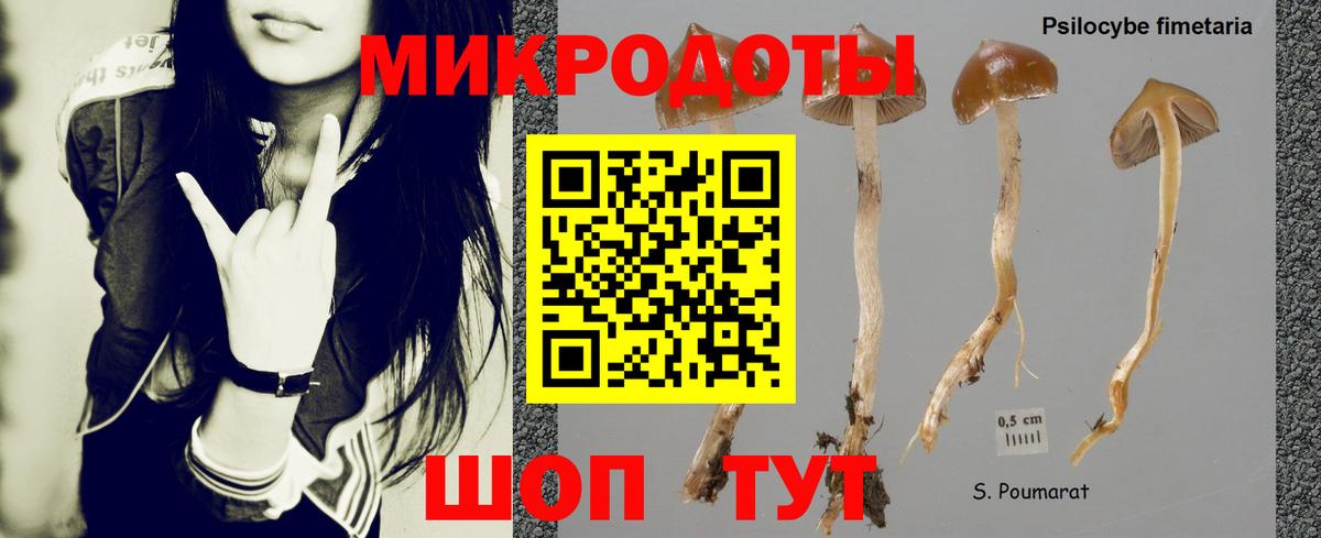 Галлюциногенные грибы мицелий  хочу   Бахчисарай  Псилоцибиновые грибы мухоморы  Вход с VPN 